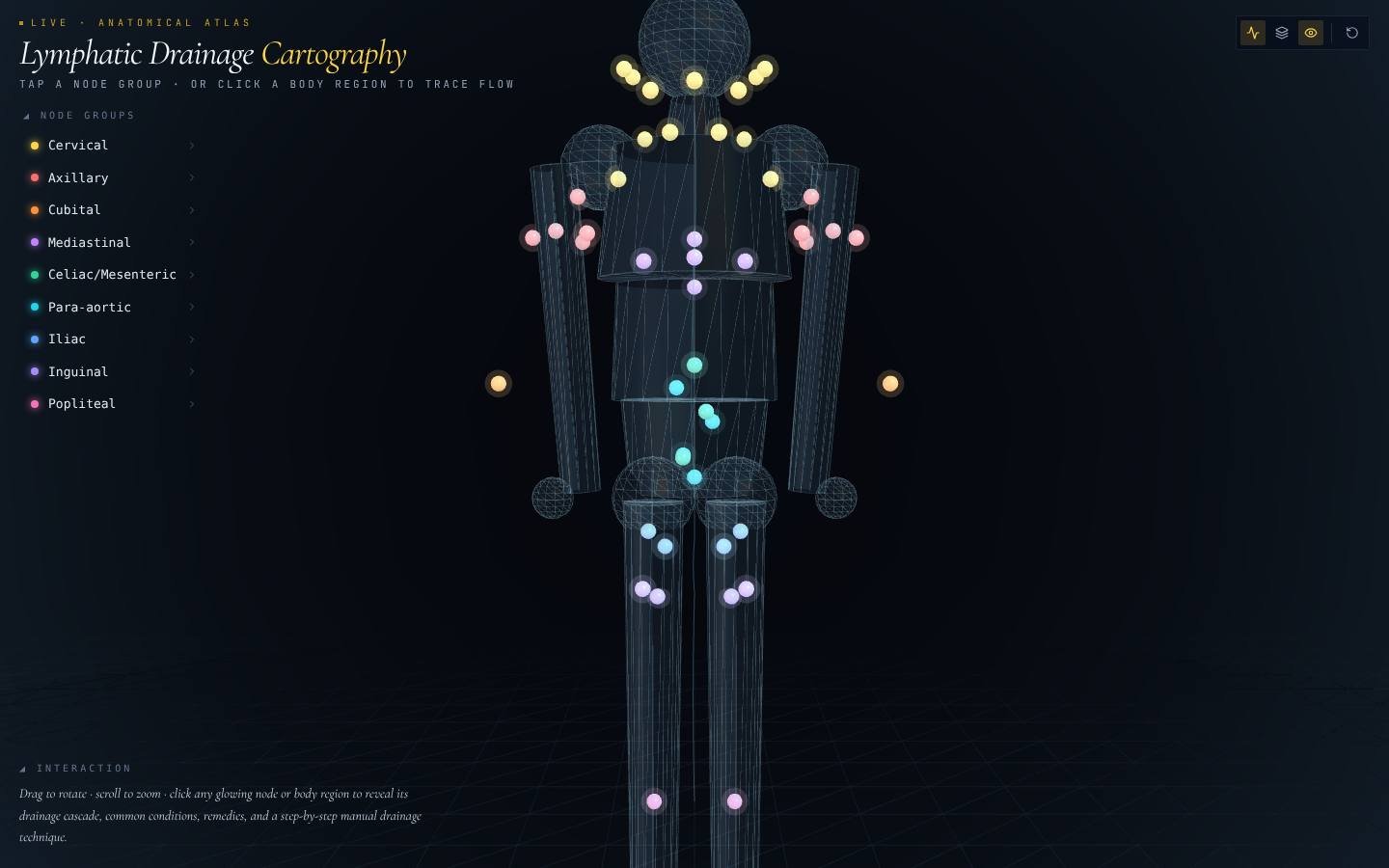 Lymphatic Drainage Cartography app served from a Cloudflare Worker